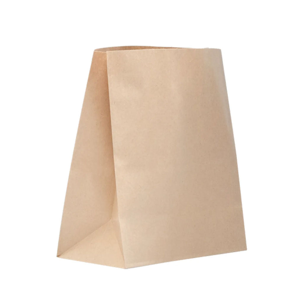 Checkout Paper Bags Small | 250/Ctn