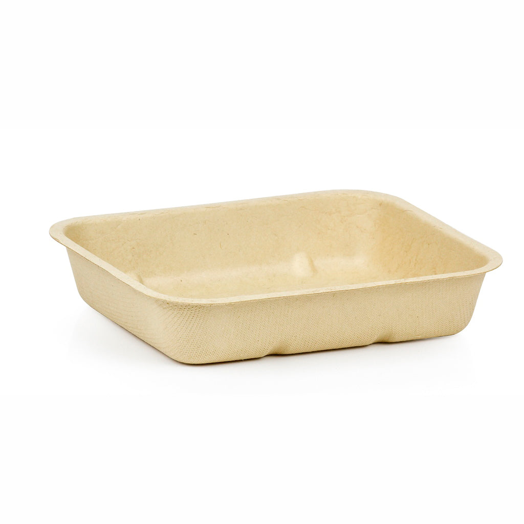 Rectangle Pulp Tray - Small | 50/Pack