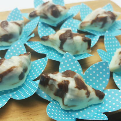 BWB Shell Chocolate Mould 3 Piece