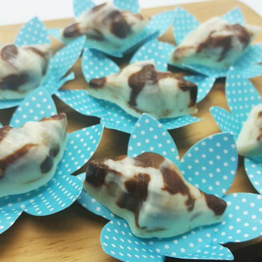 BWB Shell Chocolate Mould 3 Piece