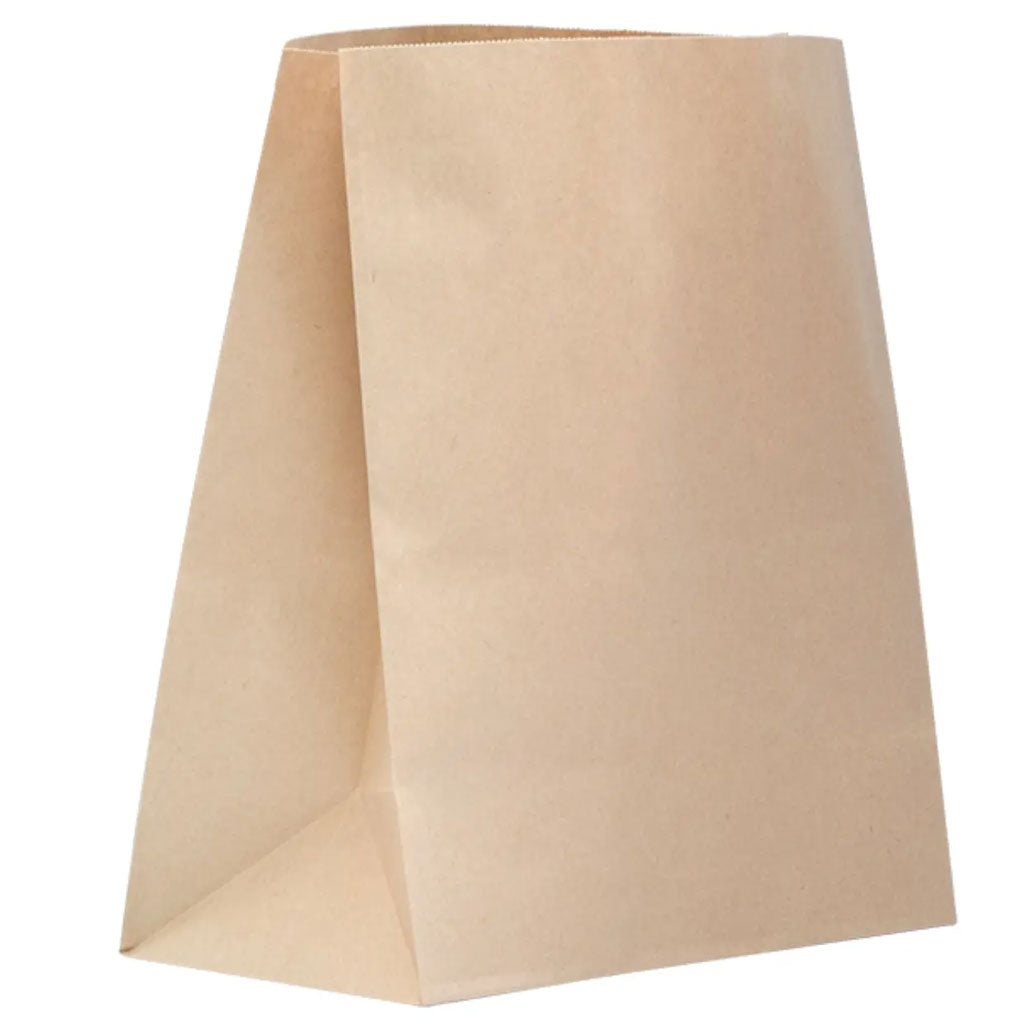 Checkout Paper Bags Large | Each