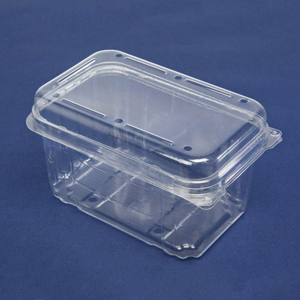 K750 Clear Plastic Punnet Clamshell | 200/Ctn
