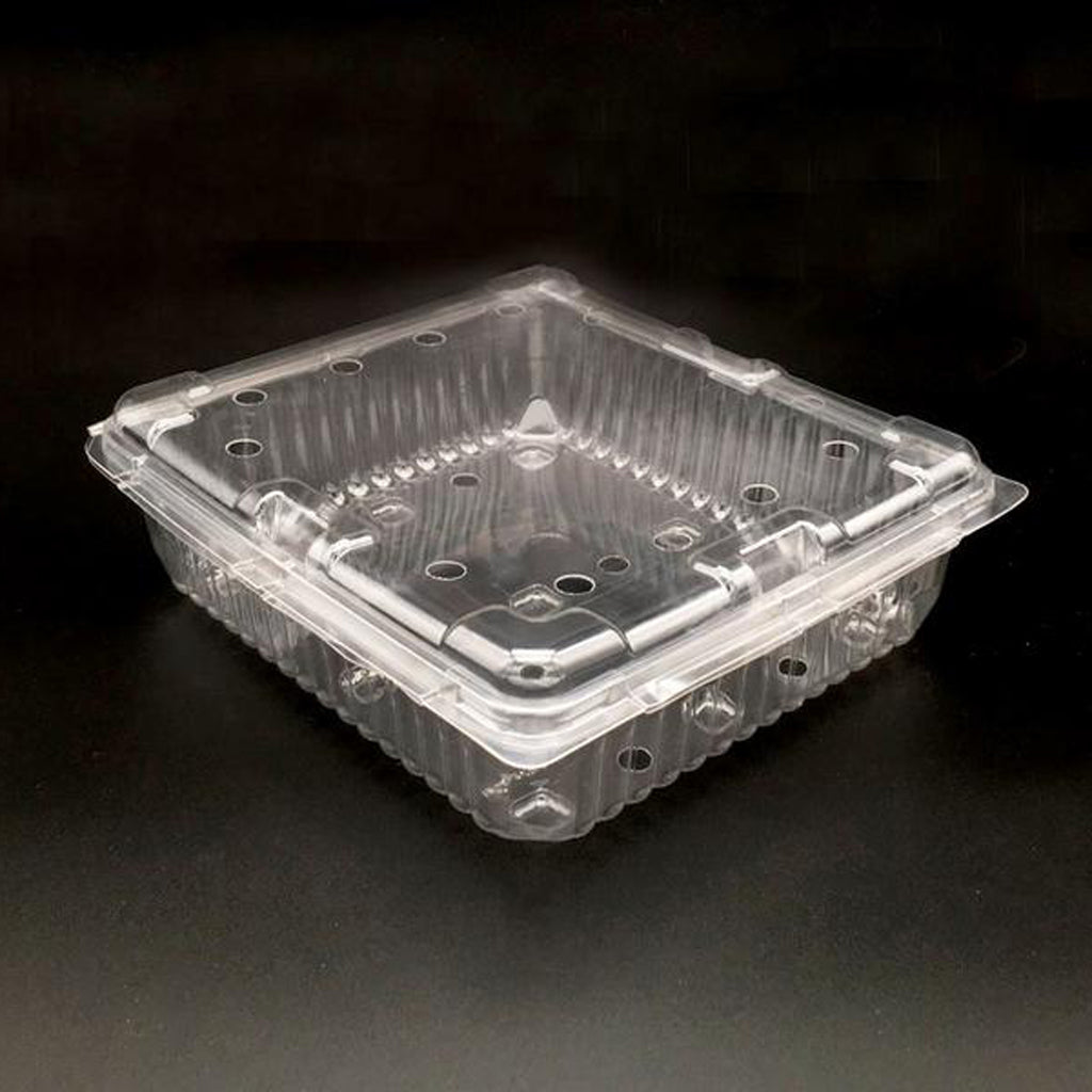 SGL850 Clear Plastic Punnet Clamshell - 850g | 100/Pack