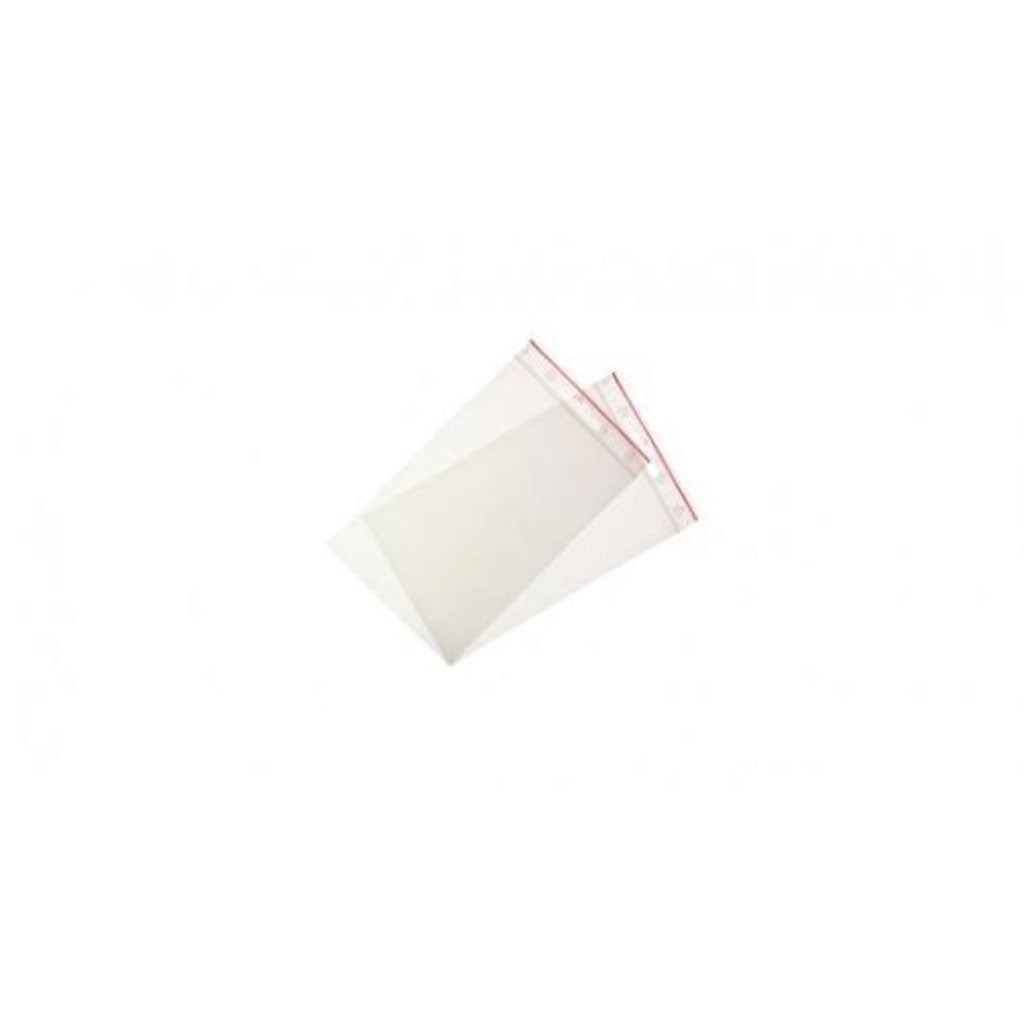 Resealable MiniGrip Bags 100x155mm | 100/Pack