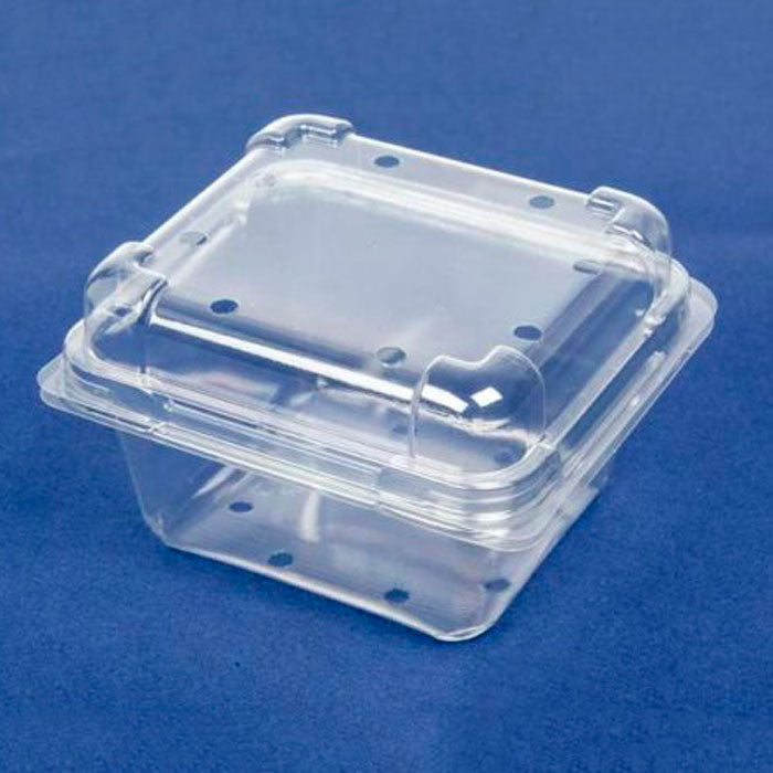 S250 Clear Plastic Punnet Clamshell  | 450/Ctn