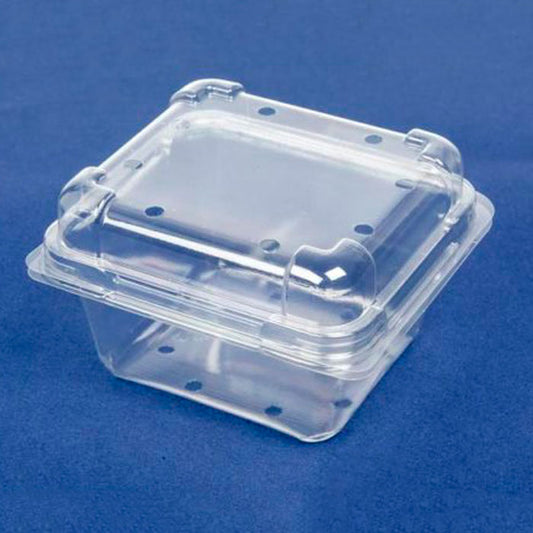 S250 Clear Plastic Punnet Clamshell  | 450/Ctn