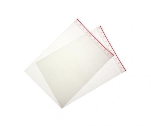 Resealable Minigrip Ziplock Plastic Bags 230x305mm 100/Pack