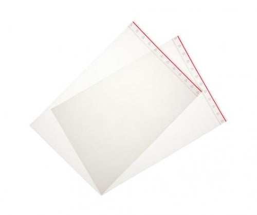 Resealable Minigrip Ziplock Plastic Bag 255x355mm 100/Pack