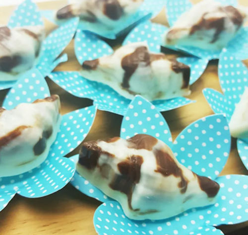 BWB Shell Chocolate Moulds 3 Piece