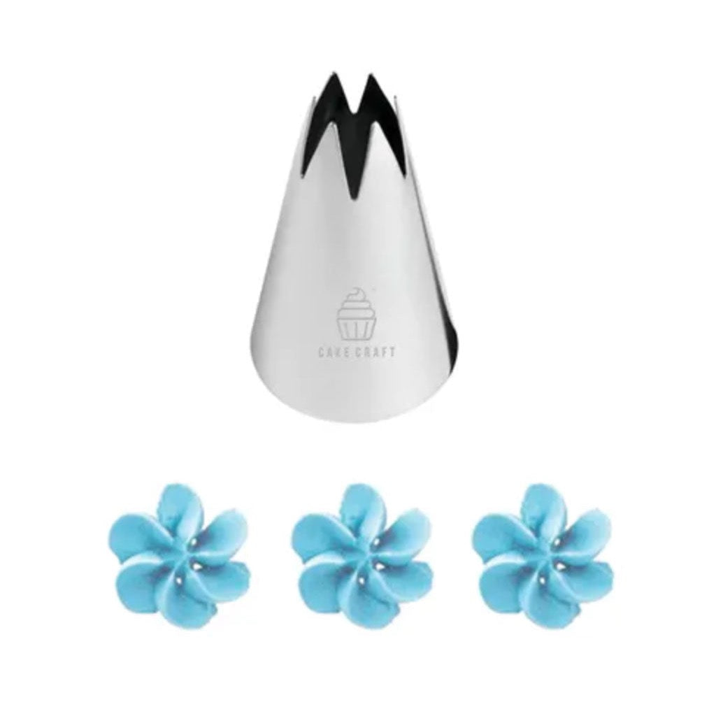 Cake Craft Stainless Steel Large #1m Open Star Piping Tip beside examples of piping pattern
