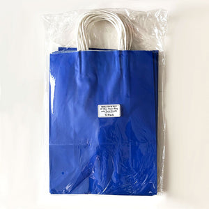 Blue Paper Bag with White Twist Handle #7 250x335x120mm 12/Pack